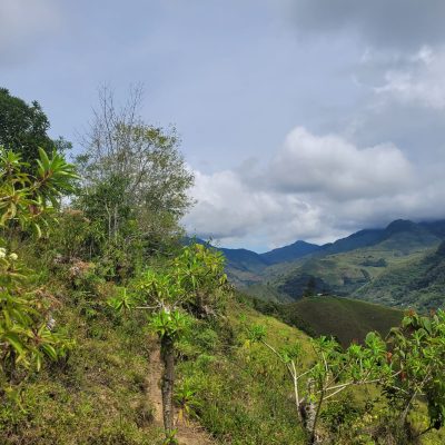 El Cairo Valle del Cauca 5