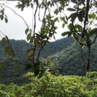 Finca la Honda