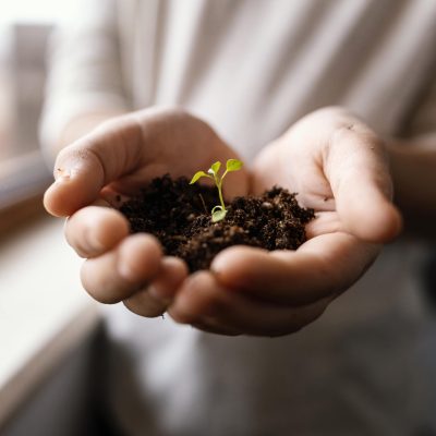 Mitigar Efectos del Cambio Climático Bank of Tierras de Colombia 2